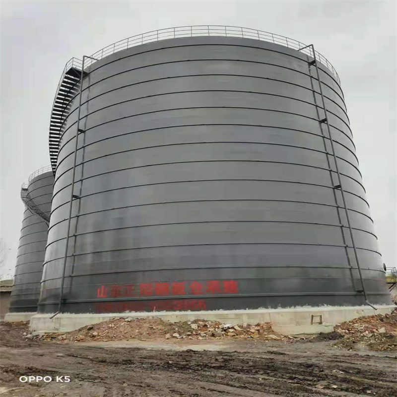 平利3万吨大型钢板库