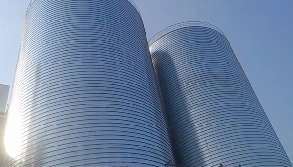 平利2座混凝土高架卷板仓